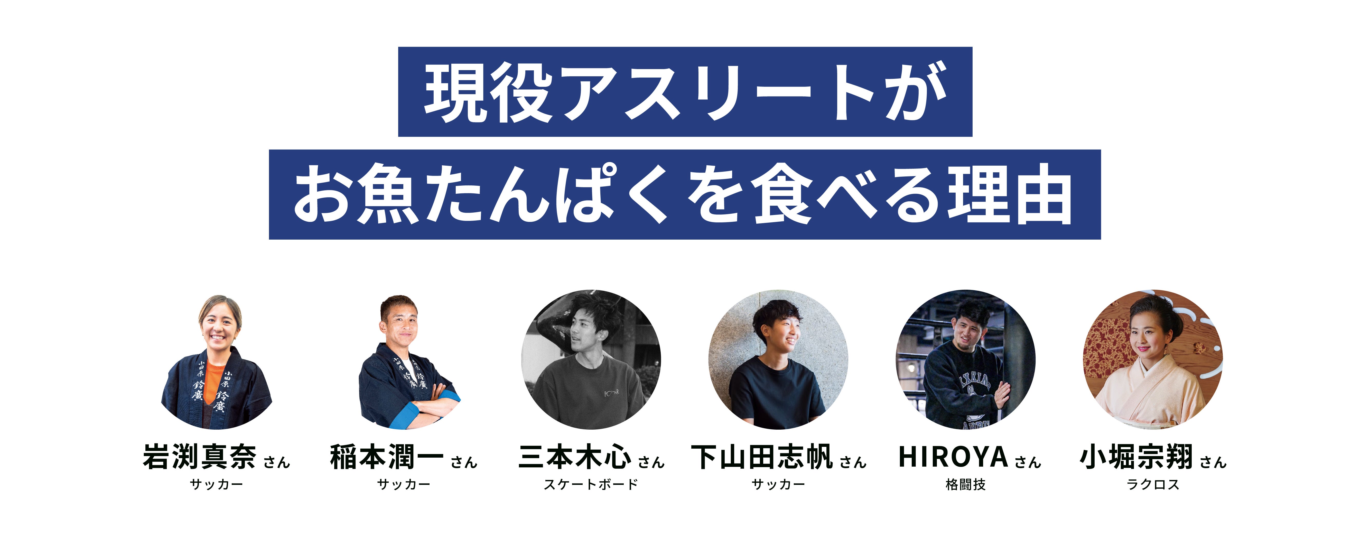 鈴廣かまぼこ食べごろ便／定期購入 | 鈴廣かまぼこ